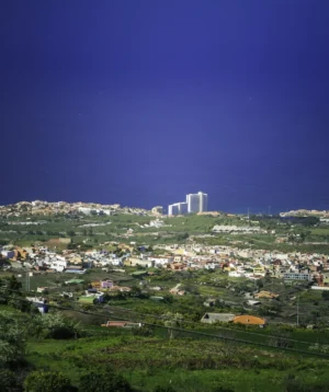 City With Buildings and Trees