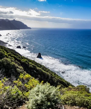 Rocky Beach With Body of Water in the Background