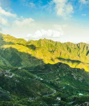 Landscape With Hills and Trees