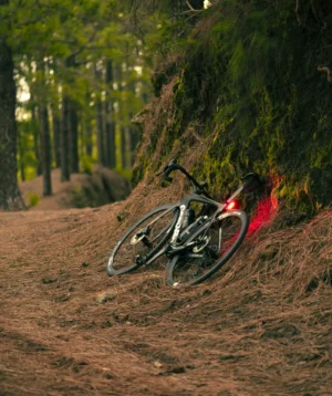 Couple of Bikes Parked on Dirt Path in the Woods
