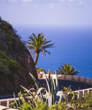 View of the Ocean From Balcony