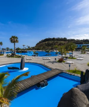 Pool With Beach and Trees