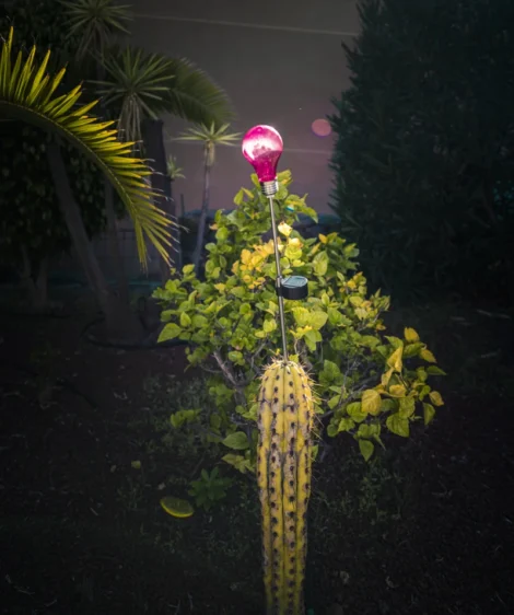 Lamp Post With Pink Balloon
