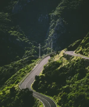 Winding Road Through Forest